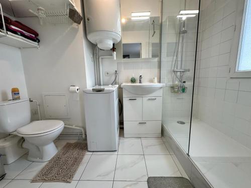 uma casa de banho com um WC, um lavatório e um chuveiro em Chez Daniel, un 2 pièces proche de Paris STADE de FRANCE em Aubervilliers