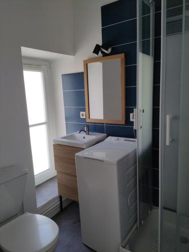 une salle de bain avec un lavabo, des toilettes et un miroir dans l'établissement studio hyper centre la rochelle, à La Rochelle