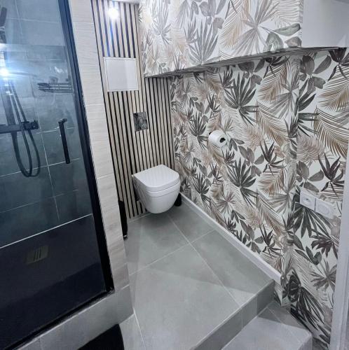 a bathroom with a shower and a toilet in it at Appartement hyper centre - Coty in Le Havre