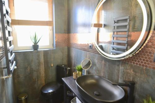 a bathroom with a sink and a mirror at Apartamenty Admirał  in Solina