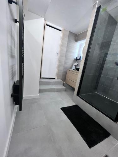 a bathroom with a shower and a large glass shower door at Appartement hyper centre - Coty in Le Havre