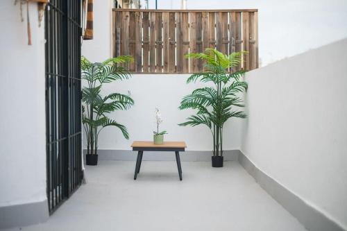 Ático ISPAL con Terraza en Centro