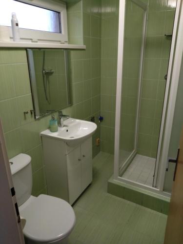 ein Bad mit einem WC, einer Dusche und einem Waschbecken in der Unterkunft Chata Na Cihelně in Bořetice