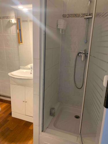 une salle de bain avec douche et lavabo dans l'établissement Fabienne côté jardins de la fontaine, à Nîmes