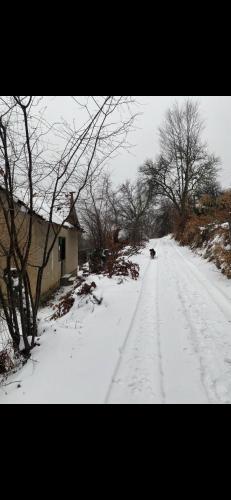 a snow covered road with a dog walking down it at ANN III in Vlasina Rid