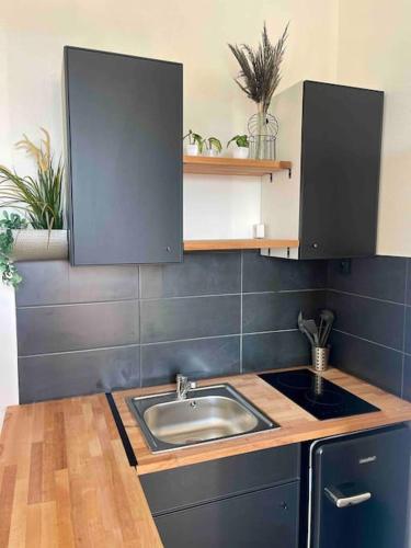 une cuisine avec un évier et un plan de travail dans l'établissement L’Escale Rennaise, à Rennes