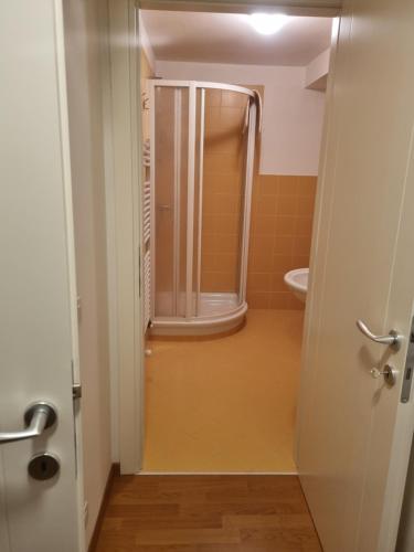 a bathroom with a shower and a toilet at La Casa di Nicola - monolocale in centro a Pieve di Cadore in Pieve di Cadore