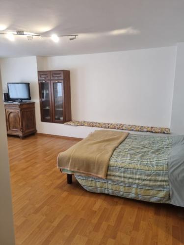 1 dormitorio con 1 cama y TV en La Casa di Nicola - monolocale in centro a Pieve di Cadore, en Pieve di Cadore
