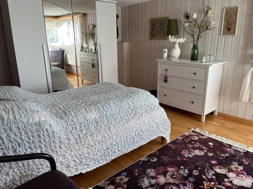 1 dormitorio con cama, tocador y espejo en Bonis 2,5 Zimmer Ferienwohnung, en Eschenz