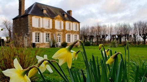 a group of yellow flowers in front of a house at Le Domaine de la Férière in Sallen