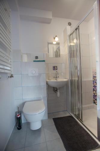 a bathroom with a toilet and a sink at Nad Cedronem in Wambierzyce