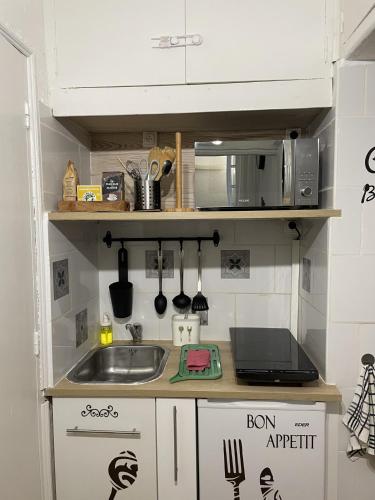 une petite cuisine avec un évier et un micro-ondes dans l'établissement Appartement la Marseillaise, à Marseille