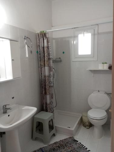 a white bathroom with a sink and a toilet at Marilena Studio Plataria in Plataria