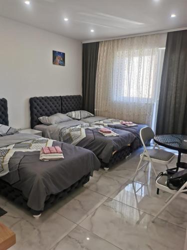 1 Schlafzimmer mit 2 Betten, einem Tisch und Stühlen in der Unterkunft Apartman Aleksandar 1 in Ribarska Banja