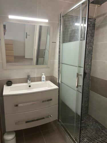 une salle de bain avec un lavabo et une douche en verre dans l'établissement Entre Paris et Disneyland, à Chelles