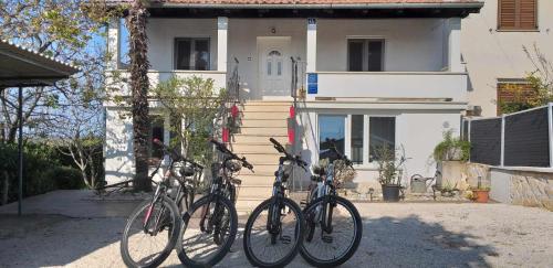 Jízda na kole v ubytování Apartman Sabina, Poreč nebo okolí