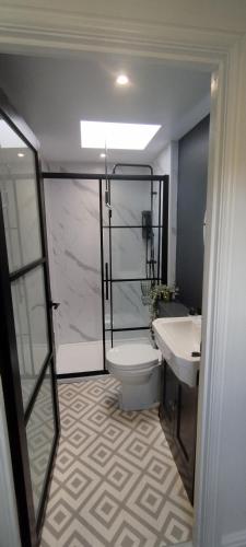 a bathroom with a toilet and a sink at The Nook: Self Contained Annex in Taunton