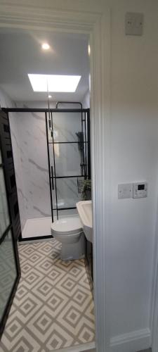 a bathroom with a toilet and a sink at The Nook: Self Contained Annex in Taunton