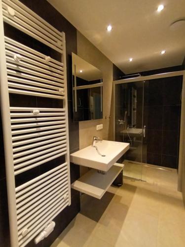 a bathroom with a sink and a shower at Villa Metschke in Hähnichen