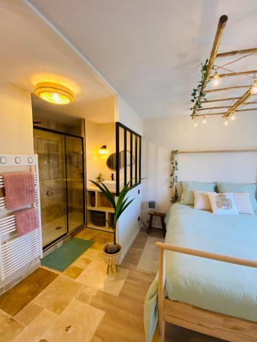 a bedroom with a bed and a glass shower at appartement paradise tropical in Juvignac