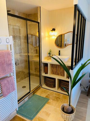 une salle de bain avec douche et lavabo dans l'établissement appartement paradise tropical, à Juvignac