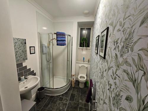 a bathroom with a shower and a toilet and a sink at Craigielea Apartment 3 in Lerwick