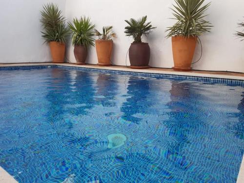Bazén v ubytování Private pool in Lecrin 30 min Granada/beach nebo v jeho okolí