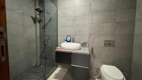 La salle de bains est pourvue de toilettes, d'un lavabo et d'une douche. dans l'établissement SEA VIEW LUXURIEST APARTMENT, à Mazizini