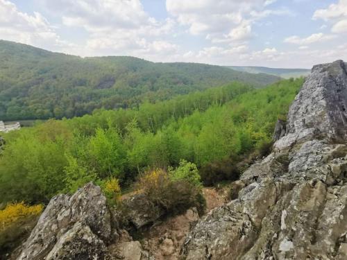 vistas a una montaña con árboles y rocas en Expérience Cocooning typé Loft en Braux