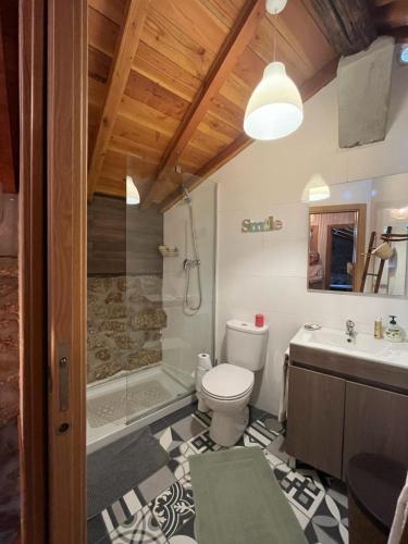 a bathroom with a toilet and a shower and a sink at Casa da Serra da Estrela in Gonçalo
