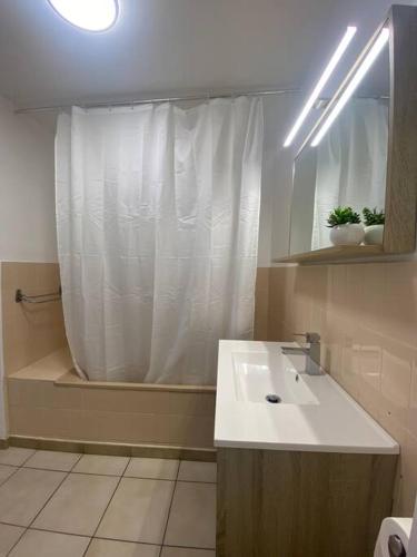 La salle de bains est pourvue d'un lavabo et d'une douche avec rideau de douche. dans l'établissement Appart 5 min à pied de la plage, au Cap d'Agde