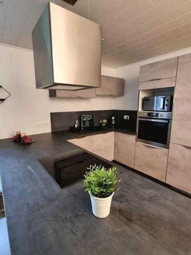 une cuisine avec des appareils en acier inoxydable et une plante en pot dans l'établissement Appartement chaleureux 80m2, à Orbey