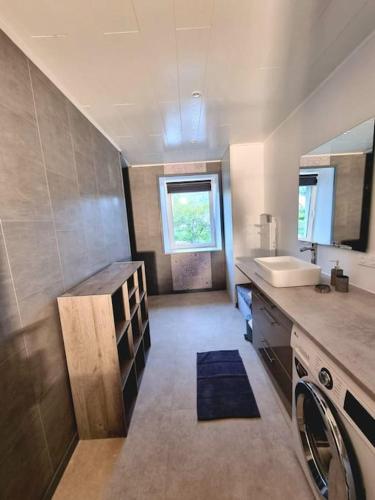 une salle de bain avec un lavabo et une machine à laver dans l'établissement Appartement chaleureux 80m2, à Orbey