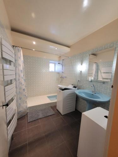 een badkamer met een blauwe wastafel en een douche bij Malva, gîte 2 pers, animaux admis in Balaguier-dʼOlt