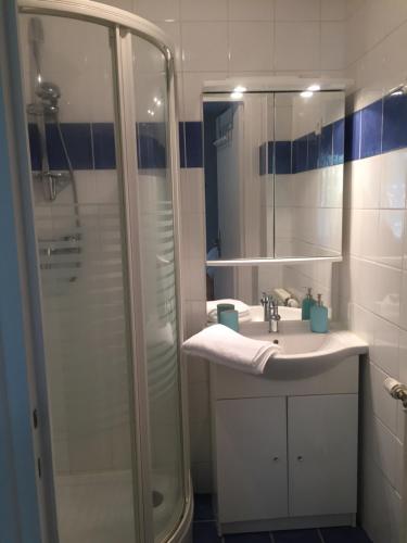 ein Badezimmer mit Dusche, Waschbecken und Spiegel in der Unterkunft LE VICHYSSOIS in Vichy