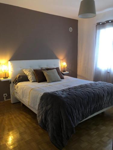 ein Schlafzimmer mit einem großen Bett und zwei Lampen in der Unterkunft LE VICHYSSOIS in Vichy