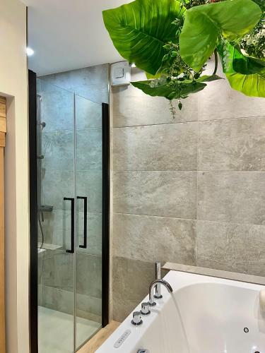 Ένα μπάνιο στο Spa - Sauna privatif plein centre