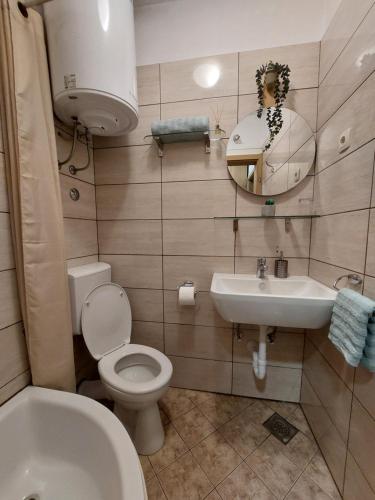 a bathroom with a toilet and a sink at Guesthouse Anita in Kotor