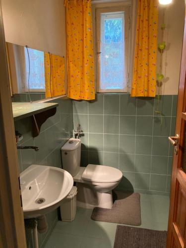 Mierzyn的住宿－Domek Myśliwski Las Vegas，浴室配有白色卫生间和盥洗盆。