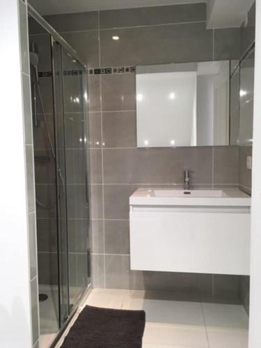 une salle de bain avec un lavabo et une douche en verre dans l'établissement Studio à ESTEREL BELAHOME, à Saint-Raphaël