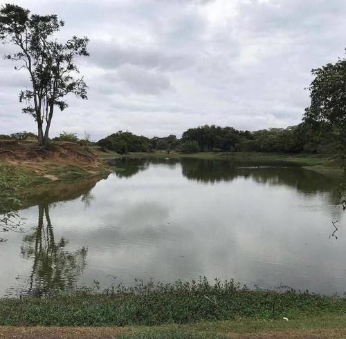Gallery image of CHÁCARA MELINDA - SOROCABA-SP in Iperó