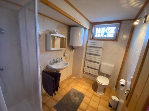 ein kleines Bad mit einem Waschbecken und einem WC in der Unterkunft Ginkgo House in Kehidakustány