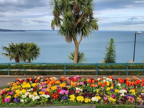a garden of colorful flowers in front of the water at Rose Court Holiday Apartments in Torquay