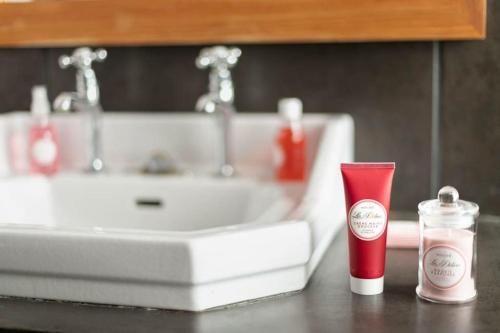 a bathroom counter with a sink and a red bottle ofodorizers at Un appart. cosy au cœur d'Etel, à deux pas du port in Étel