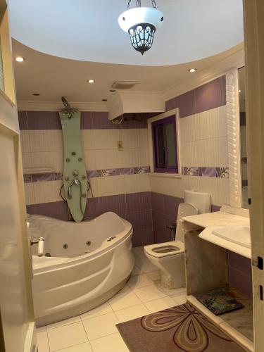 a bathroom with a tub and a toilet and a sink at Lovely apartment 2 in Alexandria