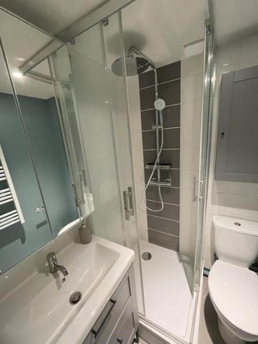 ein Bad mit einer Dusche, einem Waschbecken und einem WC in der Unterkunft Apartment Heart of Rennes Private Parking in Rennes