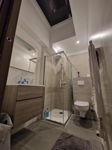 a bathroom with a shower and a toilet at Grande ville moderne arbre blanc in Montpellier