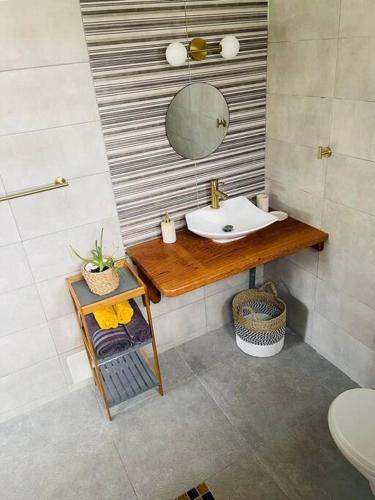 een badkamer met een wastafel en een spiegel bij Paisible studio tout confort in Matoury