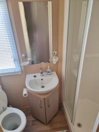 a bathroom with a sink and a shower and a toilet at Palm Grove 110 in Chapel Saint Leonards