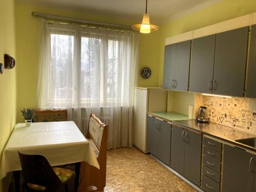 Kuchyň nebo kuchyňský kout v ubytování Spacious apartment - free parking!